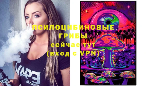 spice Корсаков