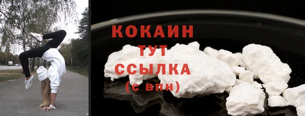 гидра Коряжма