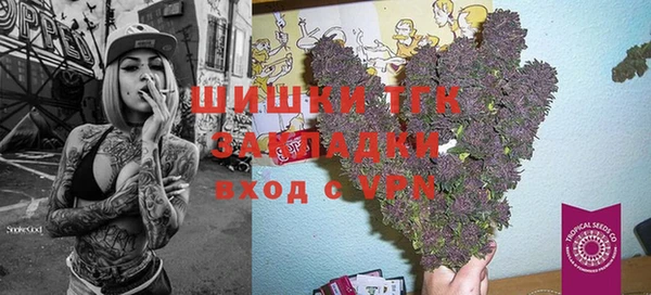 гидра Коряжма
