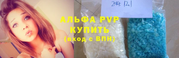 гидра Коряжма