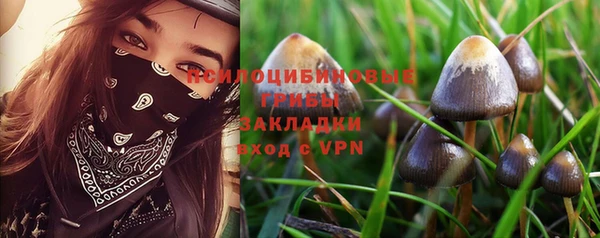 прущая мука Костерёво