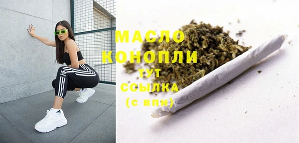 гидра Коряжма