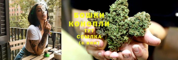 гидра Коряжма