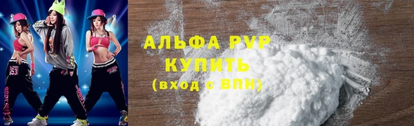 гидра Коряжма